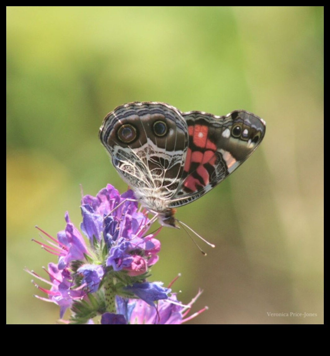 Local Lens: Focusing on the Allure of Nearby Wonders