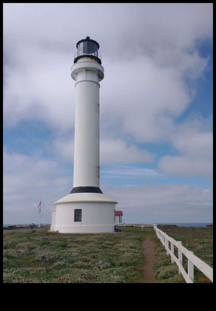 Local Lighthouse A Beacon of Hope and Discovery 1