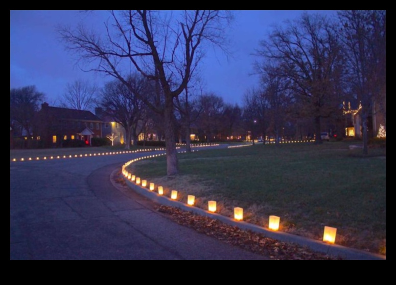 Local Luminary: Shining a Spotlight on Neighborhood Marvels