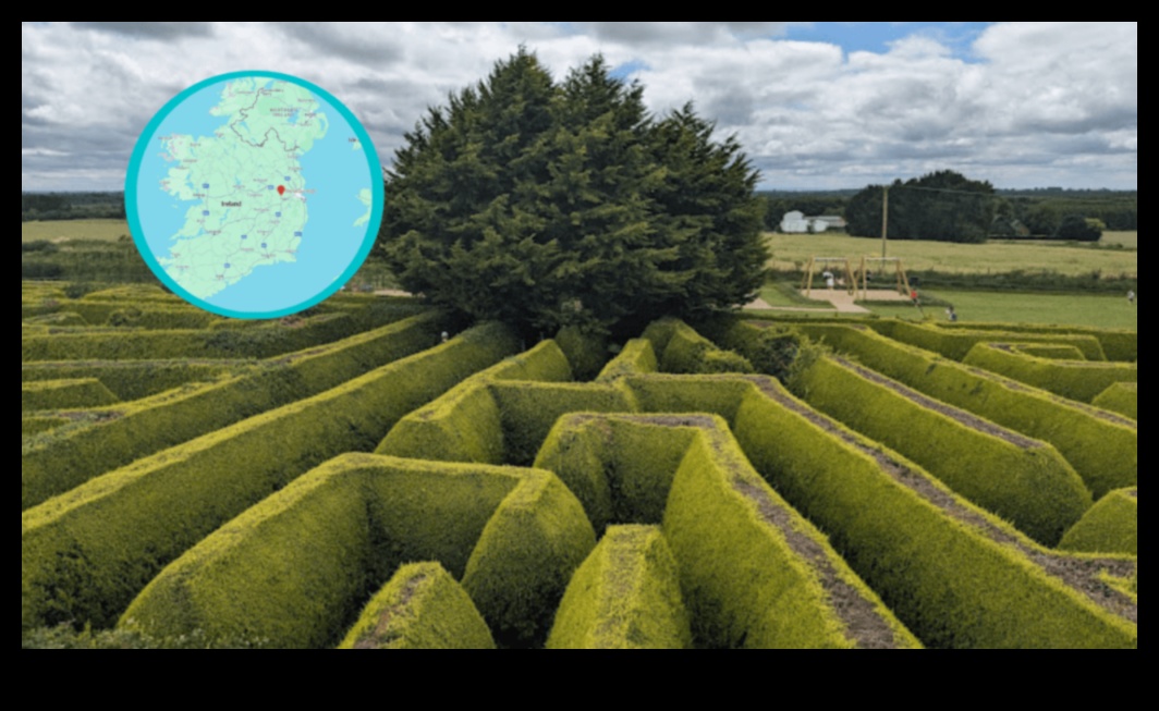 Locale Labyrinth: Navigating the Enchanting Maze of Local Attractions