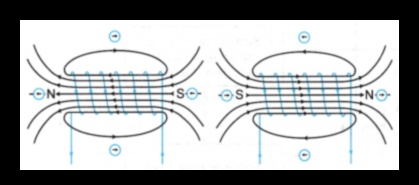 Magnetic Core: Attracting Strength through Smart Workouts