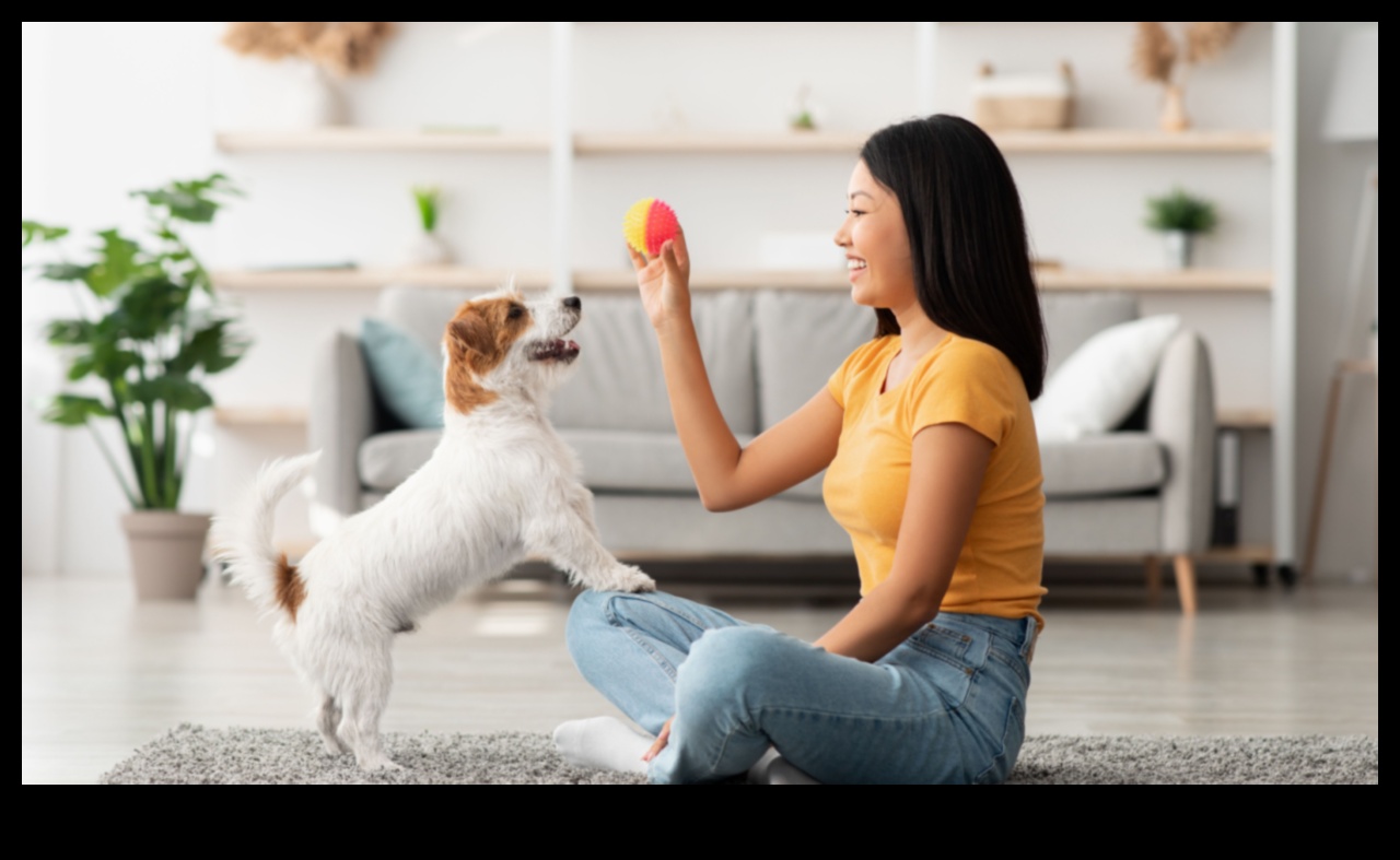 Mastering the Basics: Essential Pet Care Tips for Beginners