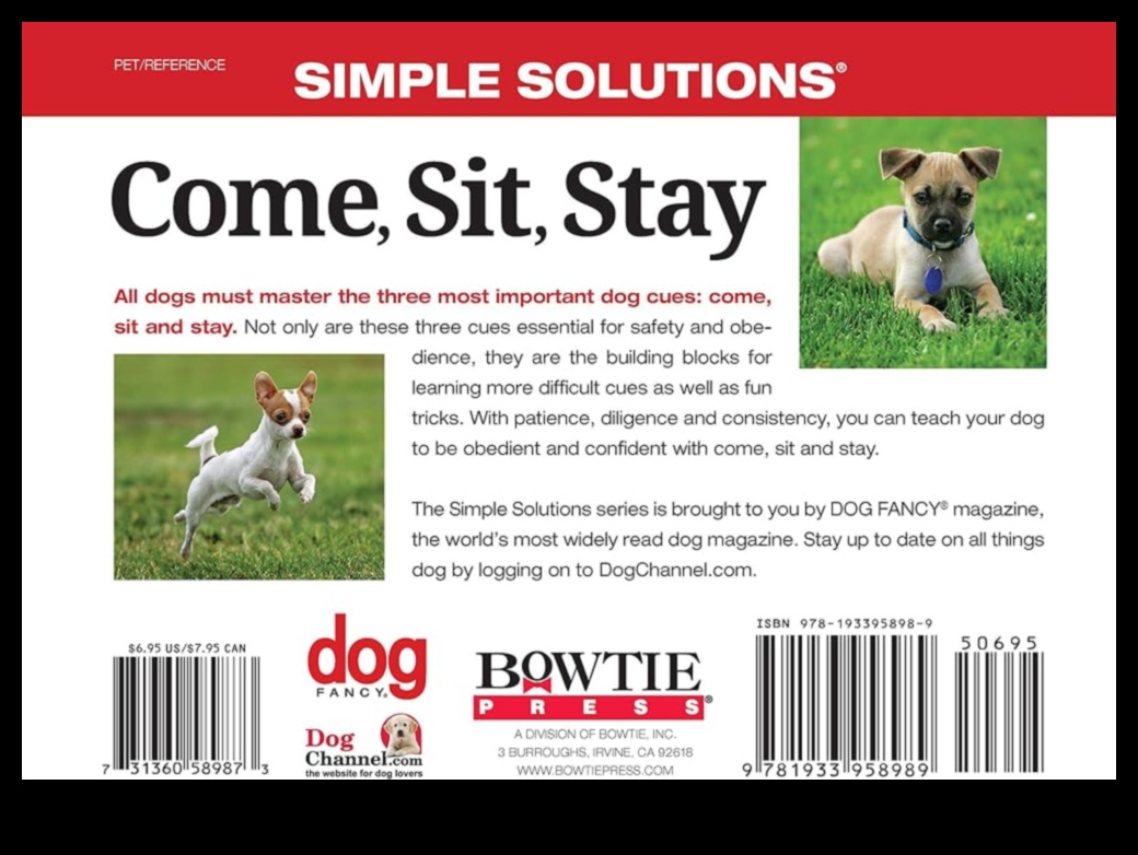 Mastering the Basics: Essential Pet Care Tips for Beginners