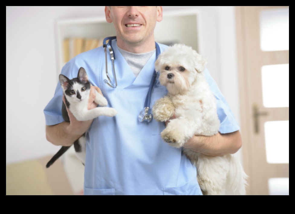 Mastering the Basics: Essential Pet Care Tips for Beginners