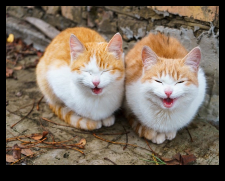 Meow Motivation Keeping Your Cat Happy and Content 4 Meow Motivation: Keeping Your Cat Happy and Content