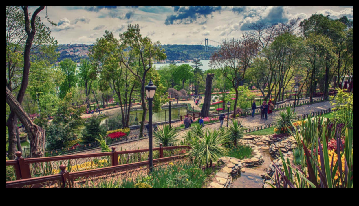 Metro Marvels: Your Local Attractions Marvelous Manual