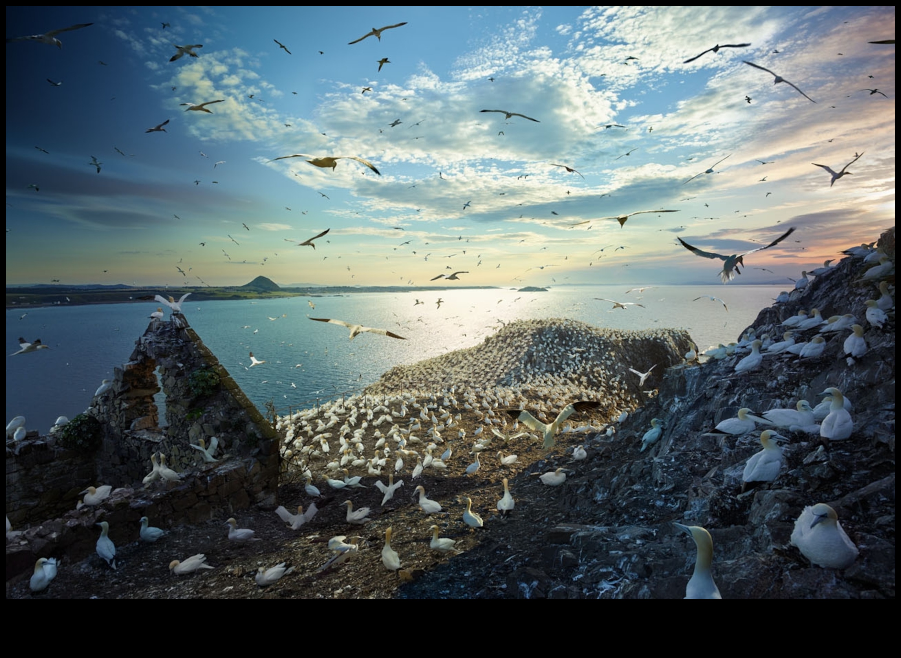 Migration Mysteries: The Incredible Journeys of Migratory Birds