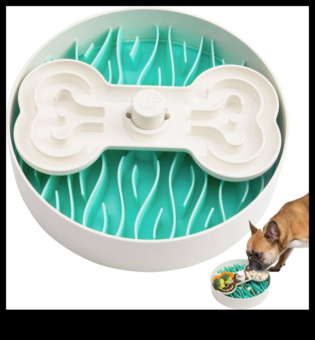 Mindful Mealtimes: Encouraging Slow Feeding for Dogs and Cats