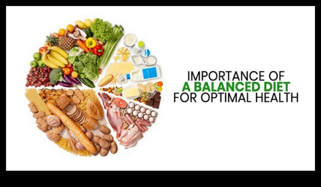 Mindful Metabolism A Balanced Approach to Exercise and Nutrition for Optimal Health 1