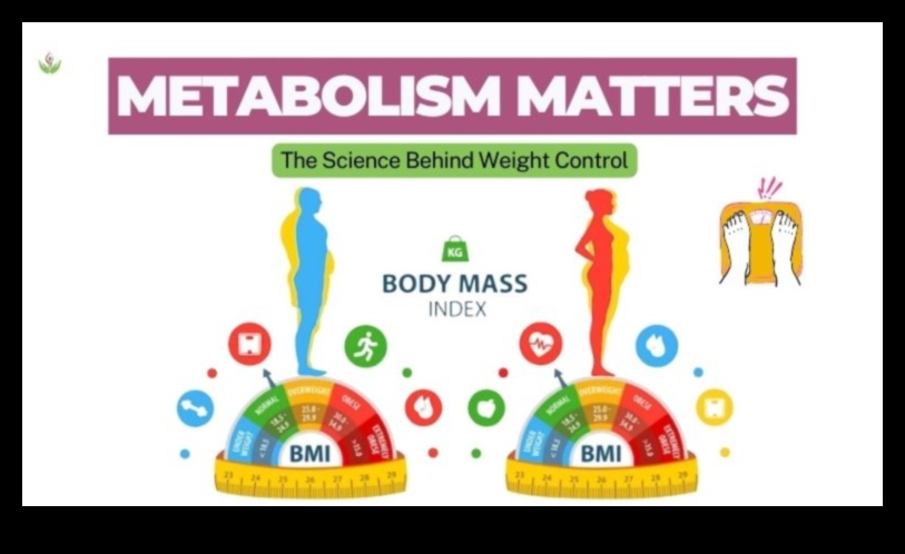 Mindful Metabolism: Nurturing Your Body's Caloric Efficiency Through Exercise