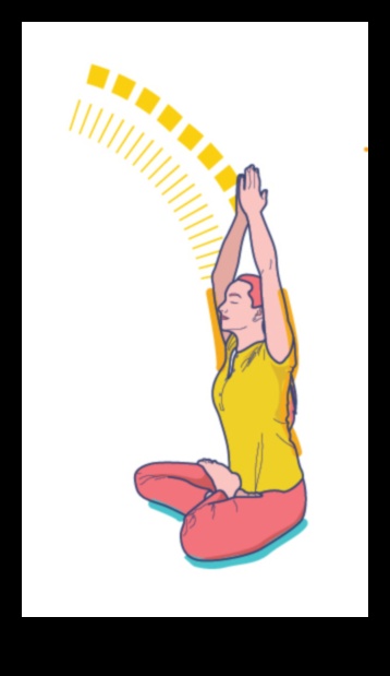 Mindful Motion Move Your Body and Mind in Harmony 1