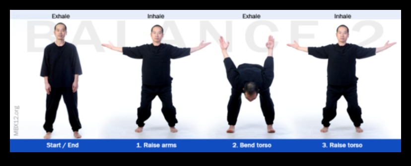 Mindful Movement Mix: Variety in Exercise for Diverse Weight Benefits