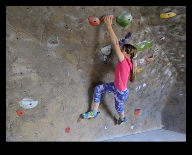 Mini-Mountain Climbers: Scaling Fitness Peaks with Kids' Workouts