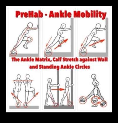 Mobility Matrix A Dynamic Warm-Up for All Levels 1