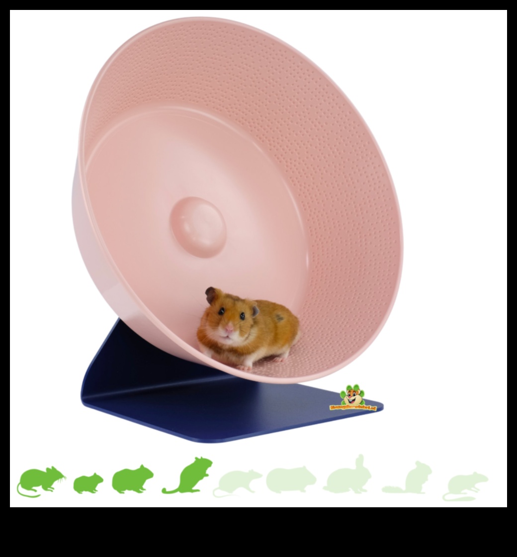 Mouse Marathon Exercise and Entertainment for Small Rodents 4 Mouse Marathon: Exercise and Entertainment for Small Rodents