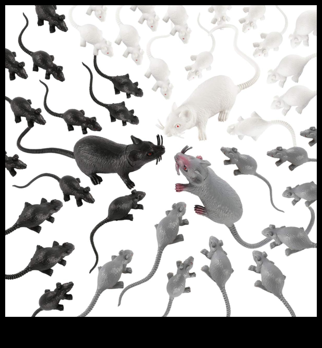 Mousey Mischief: Entertaining Games for Small Rodents