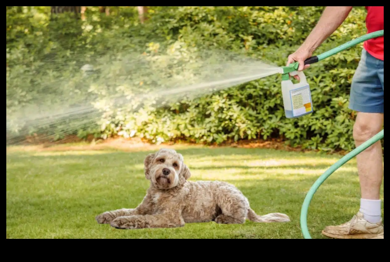 Natural Pest Control for Pets Keeping Your Home Bug-Free 2 Natural Pest Control for Pets: Keeping Your Home Bug-Free