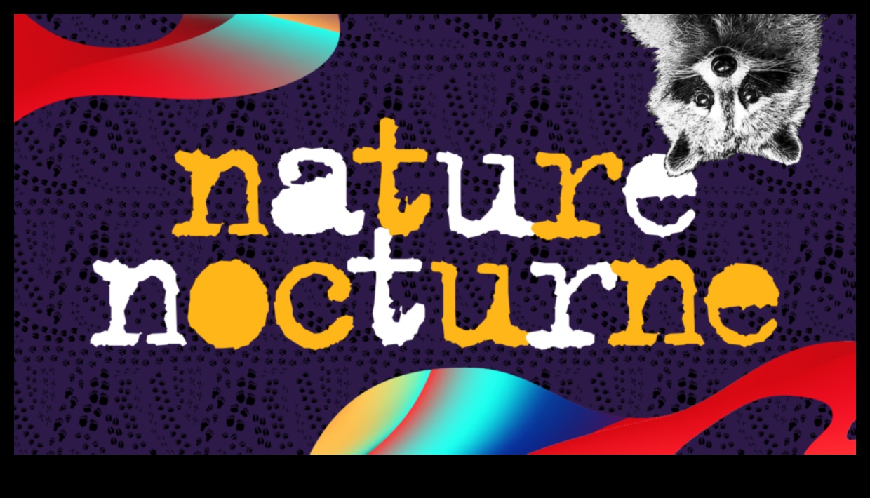 Nature's Nocturne: A Guide to Outdoor Adventures After Dark