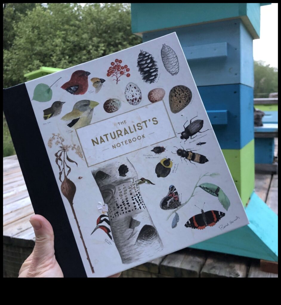 Nature's Notebook A Creative Collection of Outdoor Encounters 1