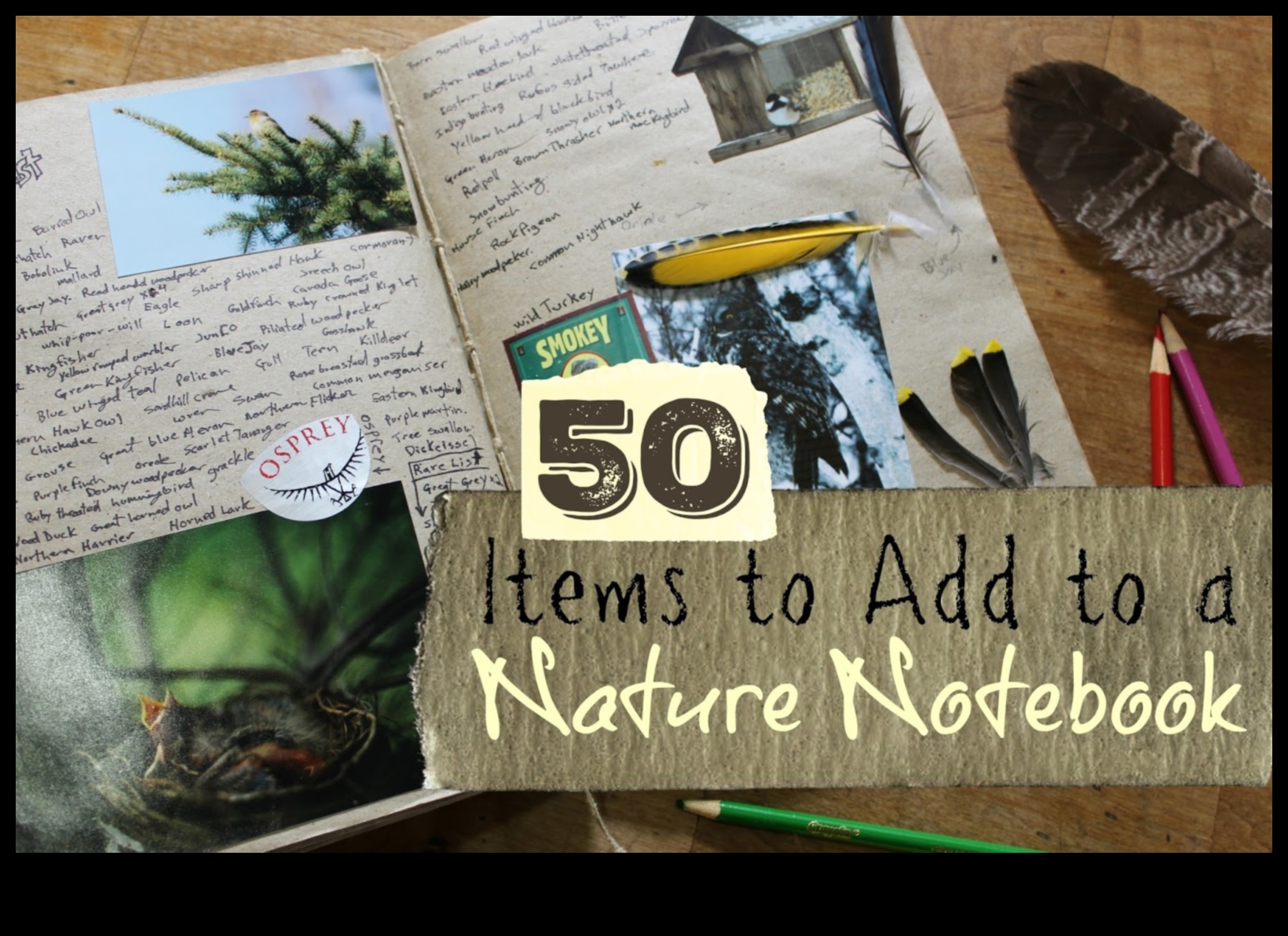 Nature's Notebook: Documenting Your Outdoor Journeys