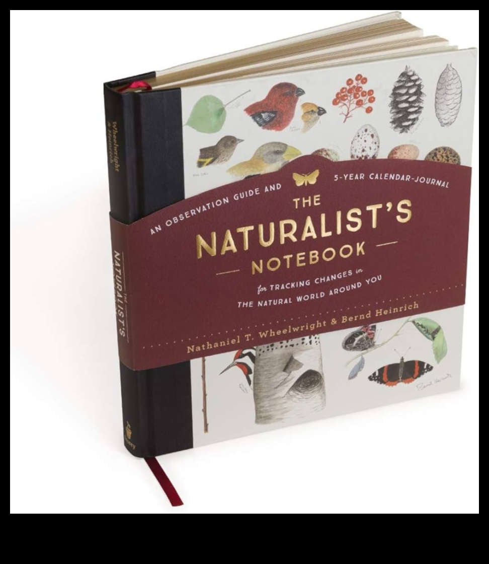 Nature's Notebook: Journaling Your Outdoor Experiences