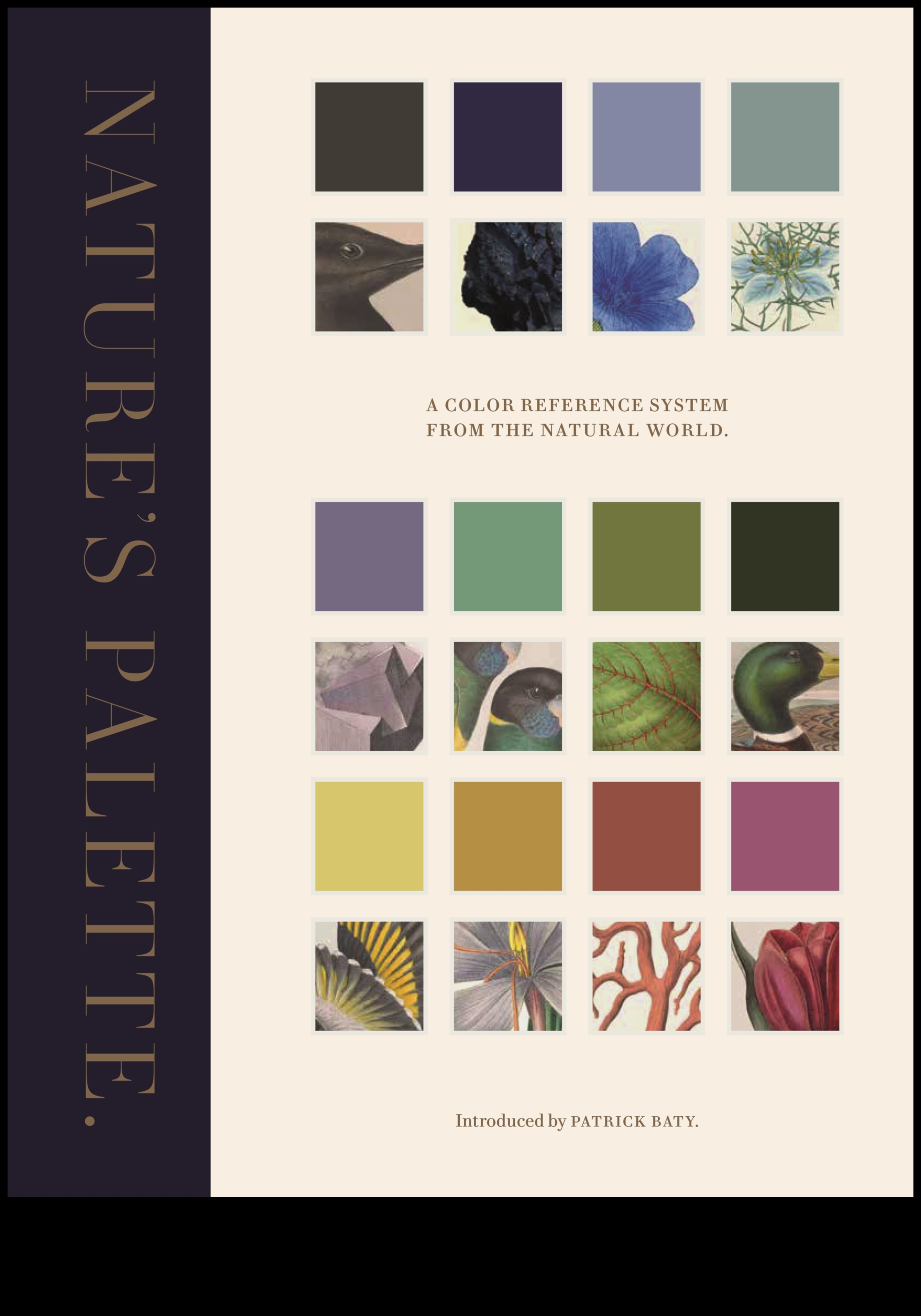 Nature's Palette: Painting Your Outdoor Adventure