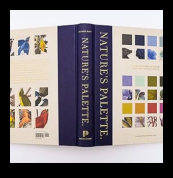 Nature's Palette: Painting Your Outdoor Adventure