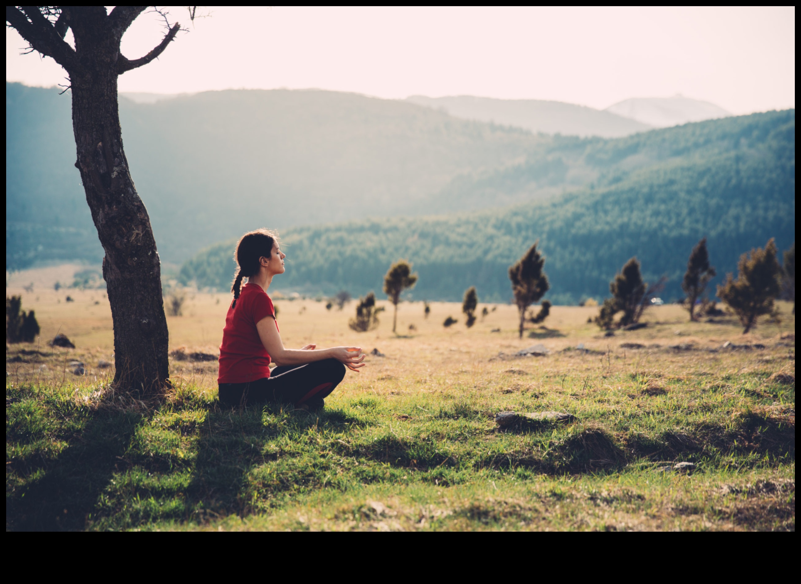 Nature's Remedy: How Outdoor Exercise Enhances Well-Being