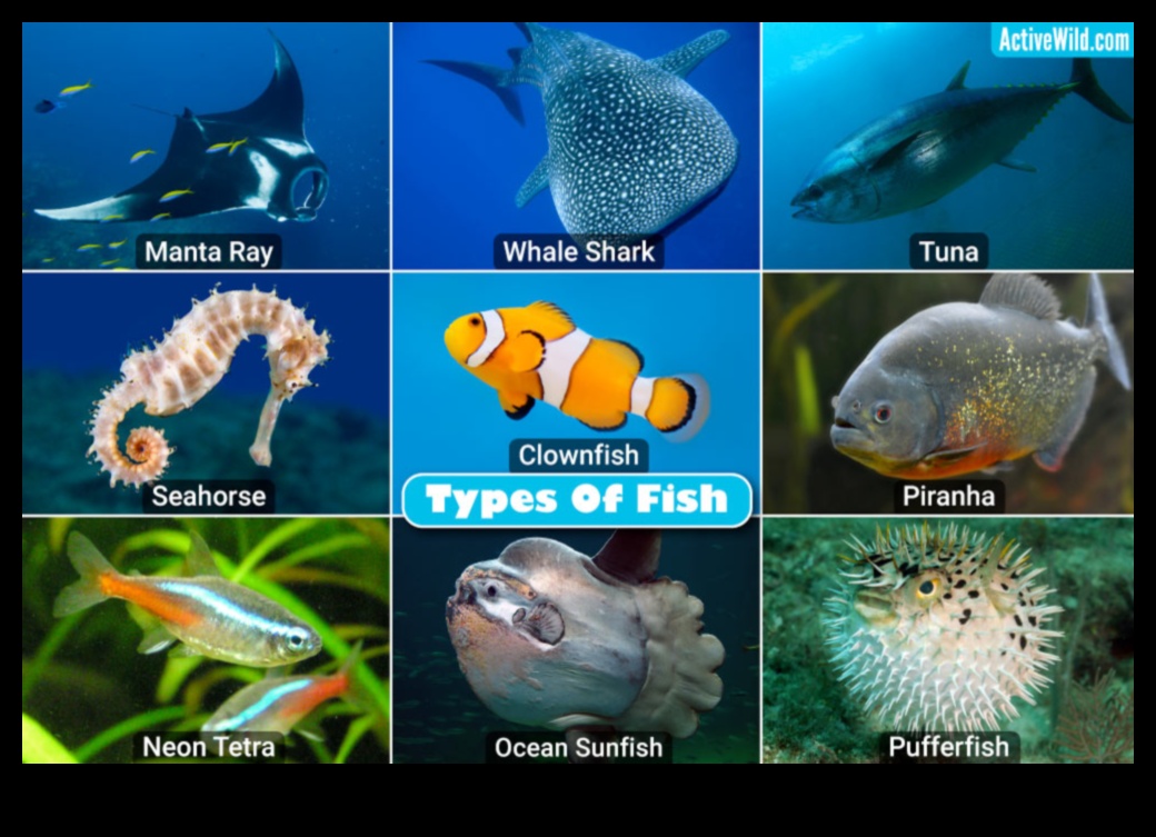 Nautical Novelties: Unique and Unusual Fish from Around the World