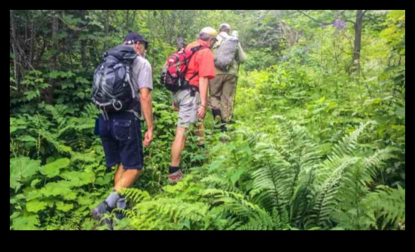 Navigate Nature 50 Eco-Friendly Travel Tips for an Adventure in the Wild 1