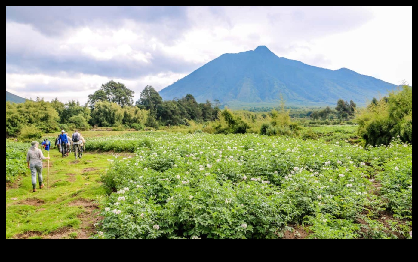 Navigate Nature: Embrace the Outdoors with Eco-Friendly Travel Tips