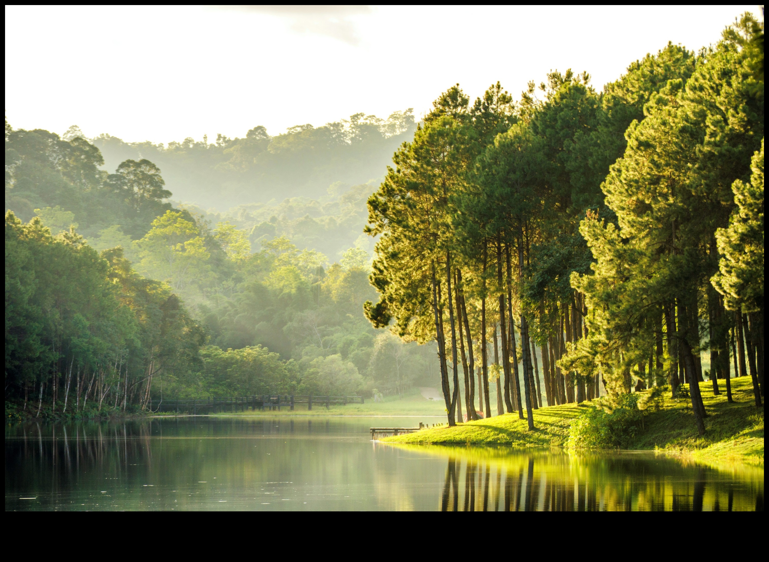 Navigate Nature: Eco-Friendly Adventures with Green Travel Tips