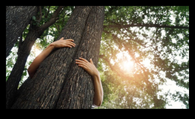 Navigate Nature: Eco-Friendly Adventures with Green Travel Tips