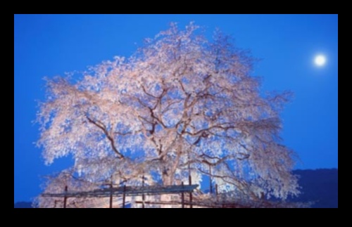 Navigate Nocturne: A Traveler's Guide to Nighttime Wonders