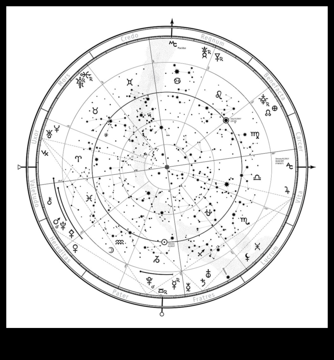 Navigate Nova: Your Guide to New Frontiers