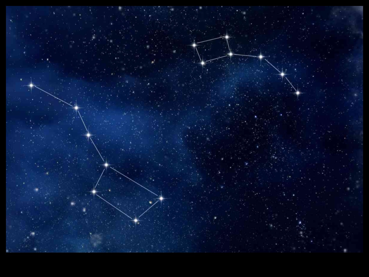 Navigate Nova: Your Guide to New Frontiers