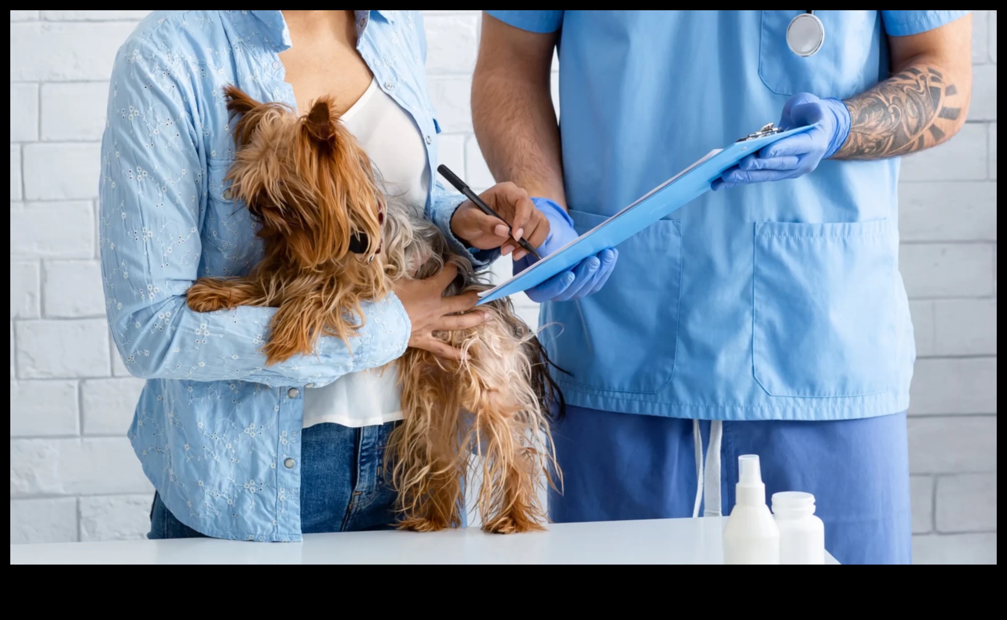 Navigating Canine Health Insurance A Comprehensive Guide 2 Navigating Canine Health Insurance: A Comprehensive Guide