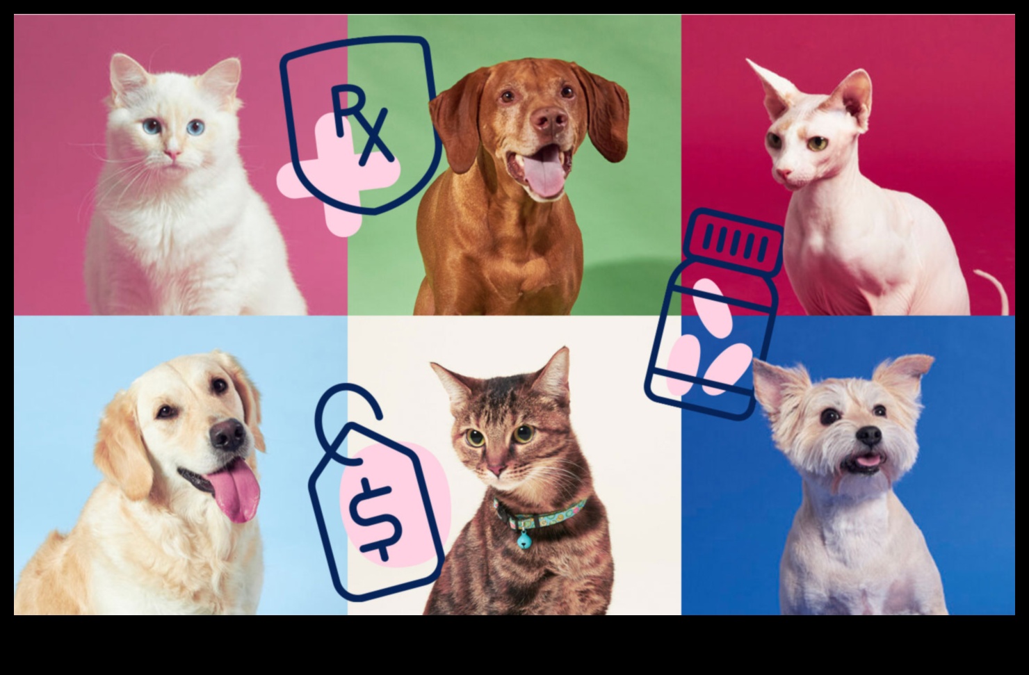 Navigating Canine Health Insurance A Comprehensive Guide 4 Navigating Canine Health Insurance: A Comprehensive Guide