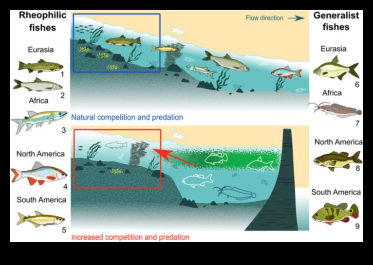 Navigating the Currents How Fish Adapt to Water Flow 5 Navigating the Currents: How Fish Adapt to Water Flow