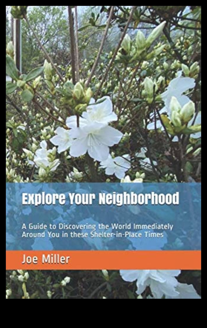 Neighborhood Navigations: Plotting Your Course to Local Attractions