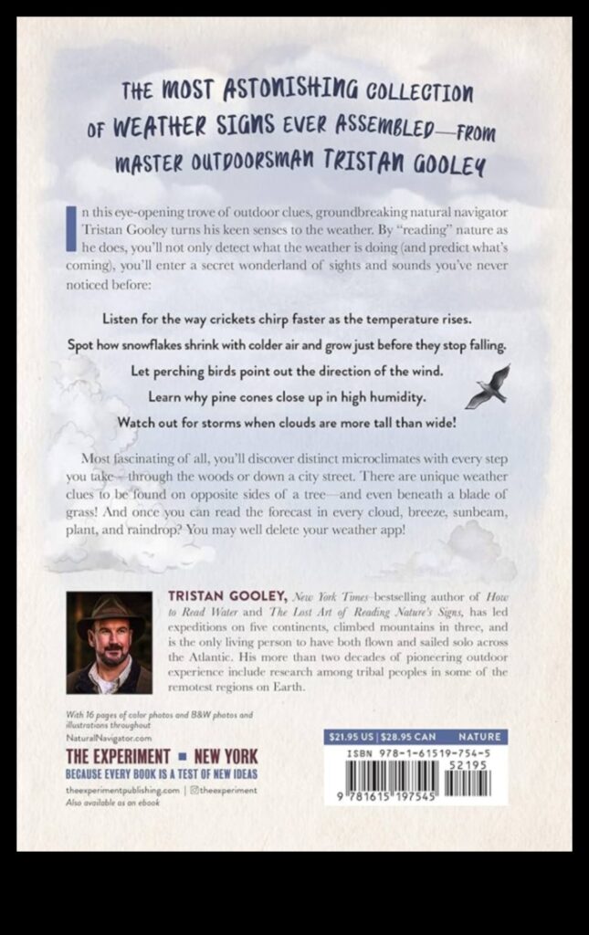 Neighborhood Navigators Unlocking the Secrets of Your Hometown 1