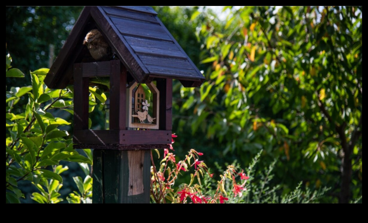 Nesting Season Tips for Creating Bird-Friendly Gardens 2 Nesting Season: Tips for Creating Bird-Friendly Gardens