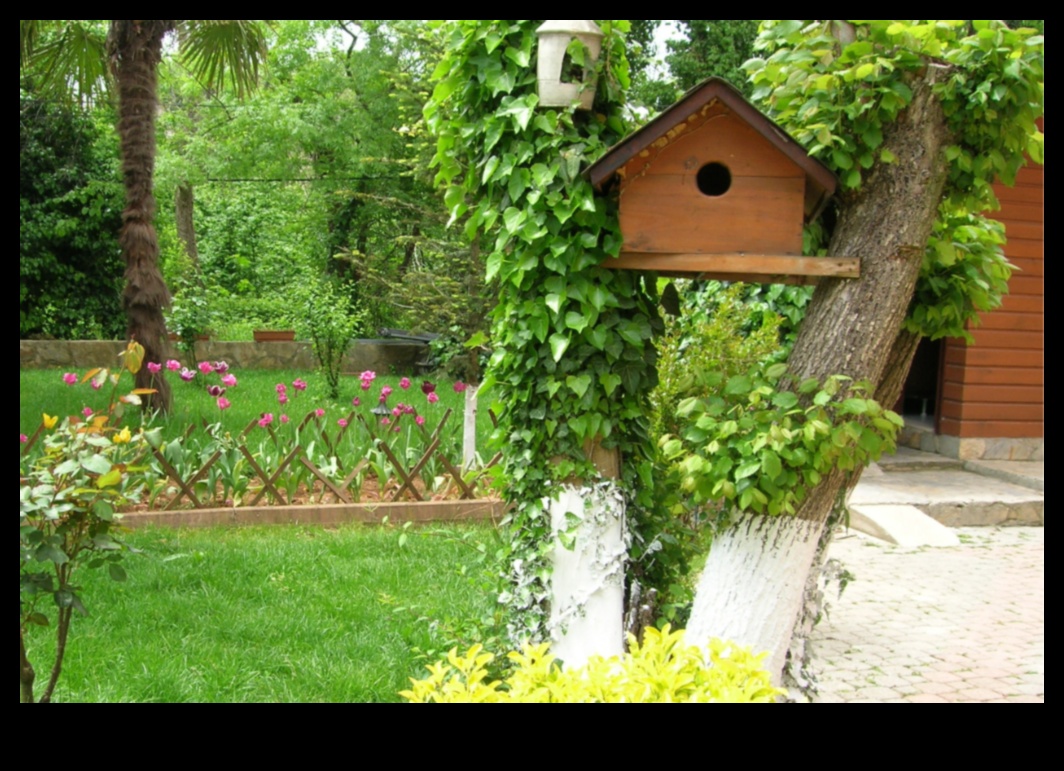 Nesting Season Tips for Creating Bird-Friendly Gardens 3 Nesting Season: Tips for Creating Bird-Friendly Gardens