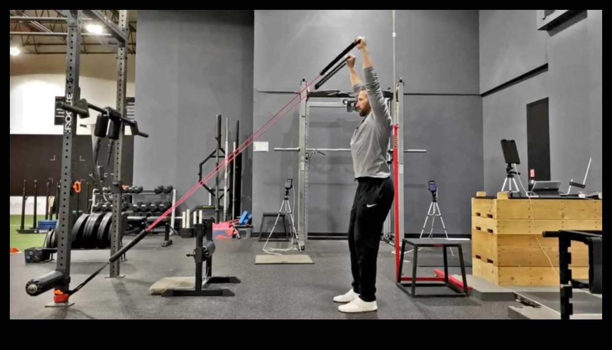 Next-Level Fitness: Advanced Exercise Equipment for Dedicated Enthusiasts
