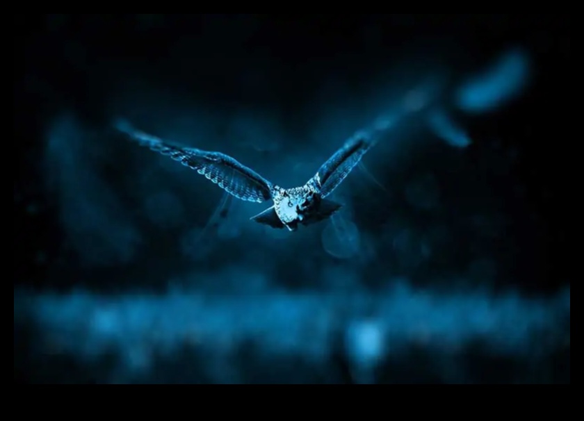 Night Flyers Continued Adaptations of Birds Active in Low Light 4 Night Flyers Continued: Adaptations of Birds Active in Low Light