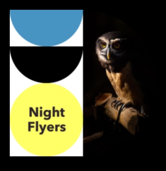 Night Flyers Unraveling the Mysteries of Nocturnal Birds 3 Night Flyers: Unraveling the Mysteries of Nocturnal Birds