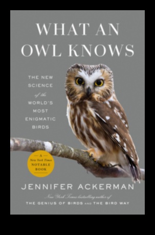 Night Owls The Enigmatic Lives of Nocturnal Birds 3 Night Owls: The Enigmatic Lives of Nocturnal Birds