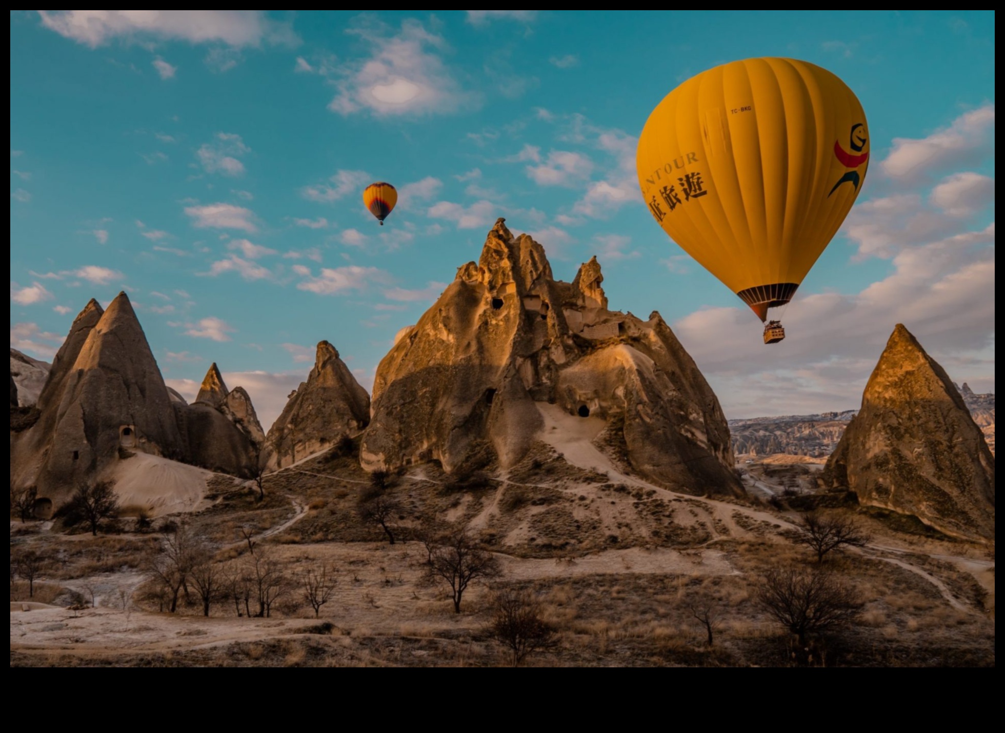 Nomad Navigator: Your Passport to Bus Tour Exploration