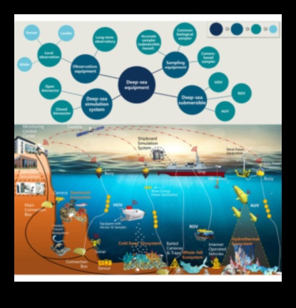 Oceanography Exploring the Seas Through Fish Diversity 3 Oceanography 101: Exploring the Seas Through Fish Diversity
