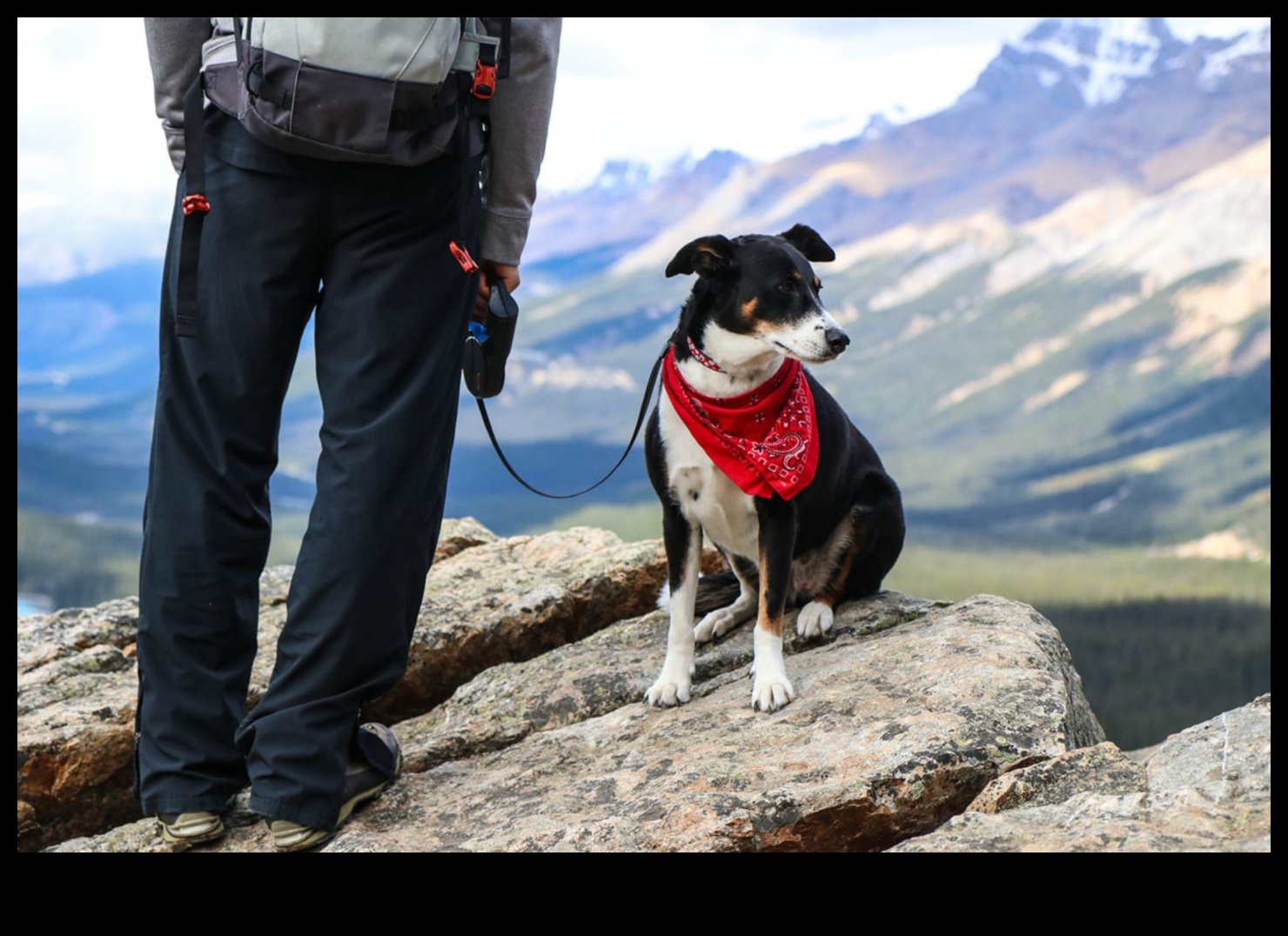 Outdoor Adventures: Exploring Safe Outdoor Activities with Pets